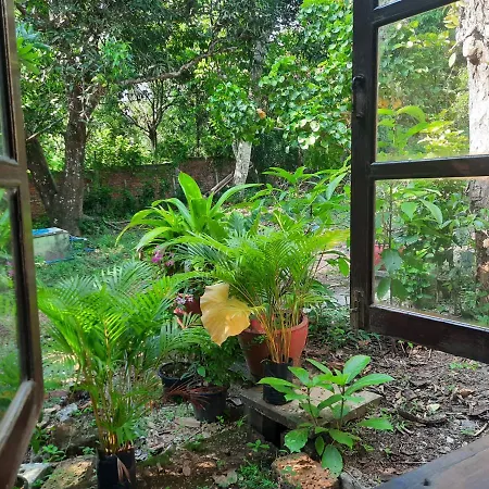 Jungle House Kep Apartment Exterior photo