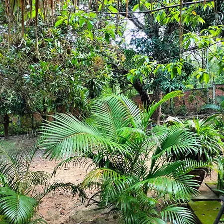 Jungle House Kep Apartment Exterior photo